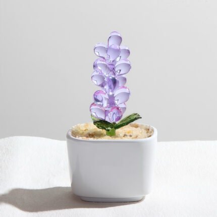 Hyacinth-Purple